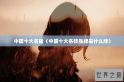中国十大名砖（中国十大名砖品牌是什么牌）