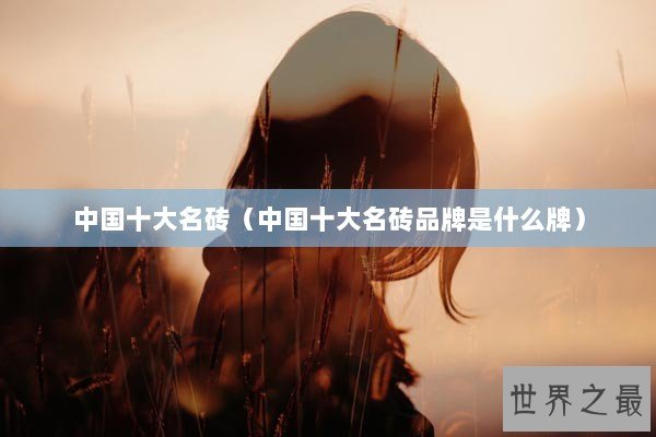 中国十大名砖（中国十大名砖品牌是什么牌）