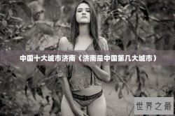 中国十大城市济南（济南是中国第几大城市）
