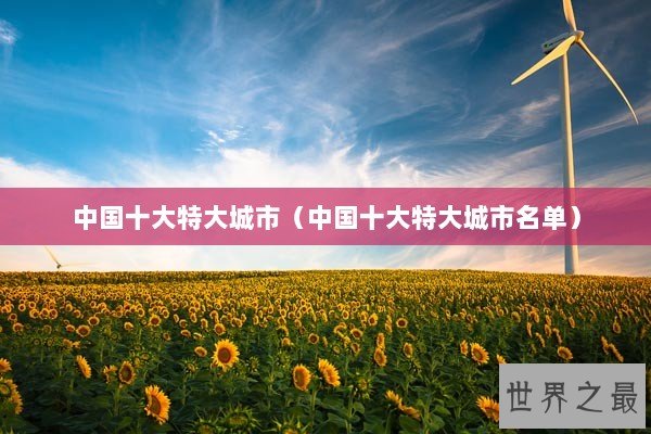 中国十大特大城市（中国十大特大城市名单）