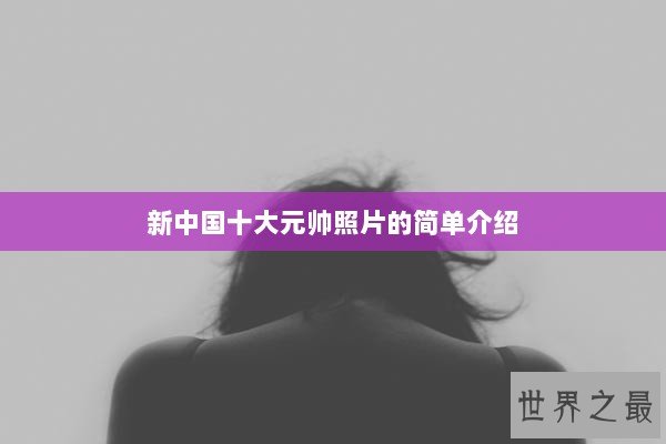 新中国十大元帅照片的简单介绍