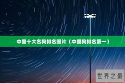 中国十大名狗排名图片（中国狗排名第一）