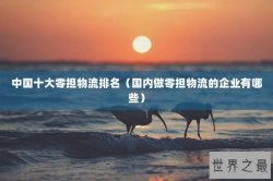 中国十大零担物流排名（国内做零担物流的企业有哪些）