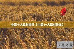 中国十大铝材排行（中国10大铝材排名）