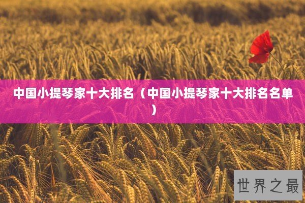 中国小提琴家十大排名（中国小提琴家十大排名名单）