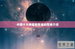 中国十大神童都有谁的简单介绍