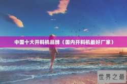 中国十大开料机品牌（国内开料机最好厂家）