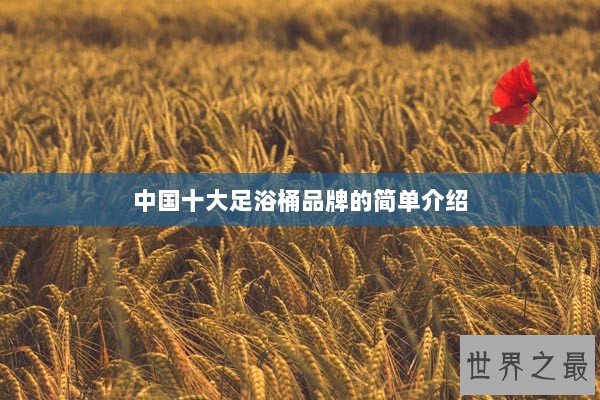 中国十大足浴桶品牌的简单介绍