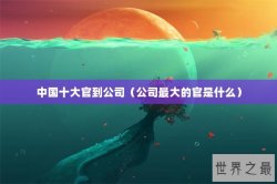 中国十大官到公司（公司最大的官是什么）