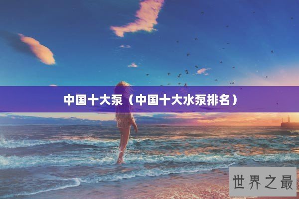 中国十大泵（中国十大水泵排名）