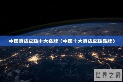 中国真皮皮鞋十大名牌（中国十大真皮皮鞋品牌）