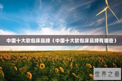 中国十大软包床品牌（中国十大软包床品牌有哪些）