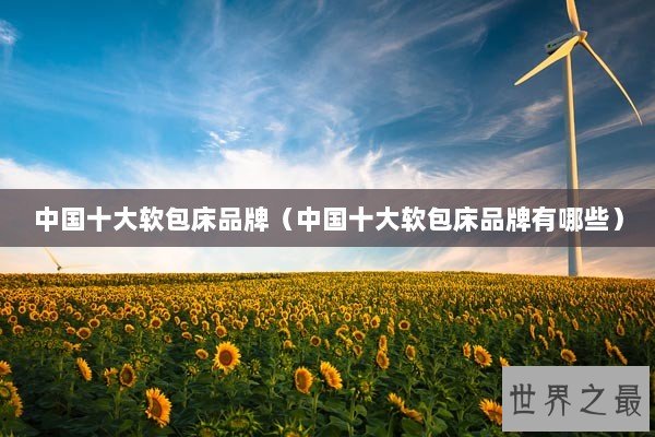 中国十大软包床品牌(中国十大软包床品牌有哪些) 中国十大软包床品牌(中国十大软包床品牌有哪些)
