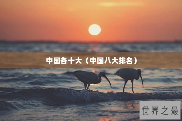 中国各十大（中国八大排名）