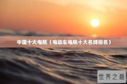 中国十大电瓶（电动车电瓶十大名牌排名）