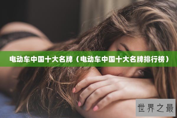 电动车中国十大名牌（电动车中国十大名牌排行榜）