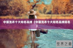 中国洗衣十大知名品牌（中国洗衣十大知名品牌排名）