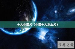 十大中国犬（中国十大本土犬）