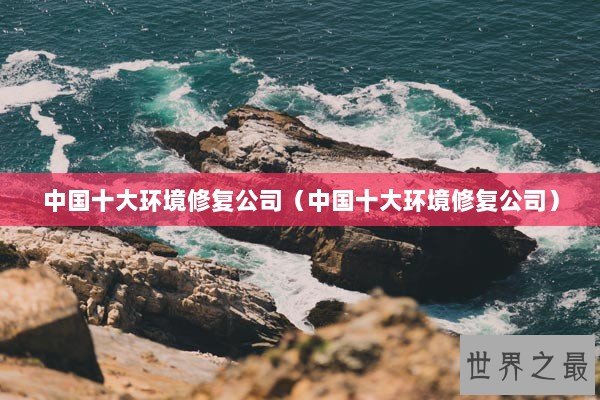 中国十大环境修复公司（中国十大环境修复公司）
