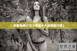 中国电梯十大（电梯十大品牌排行榜）