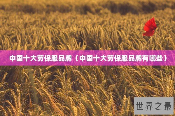 中国十大劳保服品牌（中国十大劳保服品牌有哪些）