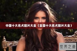 中国十大名犬图片大全（全国十大名犬图片大全）