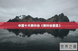 中国十大枫叶谷（枫叶谷景区）