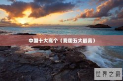 中国十大高个（我国五大最高）
