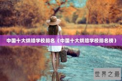 中国十大烘培学校排名（中国十大烘培学校排名榜）