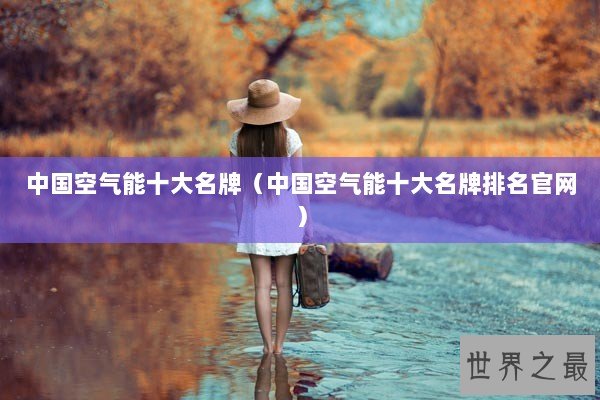 中国空气能十大名牌（中国空气能十大名牌排名官网）
