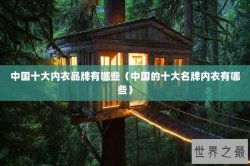 中国十大内衣品牌有哪些（中国的十大名牌内衣有哪些）