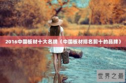 2016中国板材十大名牌（中国板材排名前十的品牌）