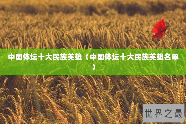 中国体坛十大民族英雄（中国体坛十大民族英雄名单）