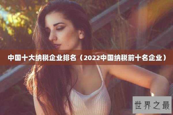 中国十大纳税企业排名（2022中国纳税前十名企业）
