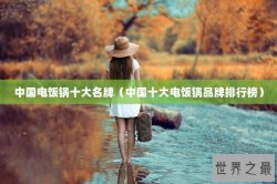 中国电饭锅十大名牌（中国十大电饭锅品牌排行榜）