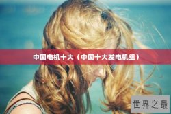 中国电机十大（中国十大发电机组）