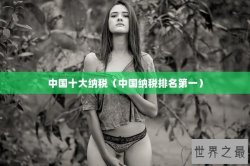 中国十大纳税（中国纳税排名第一）
