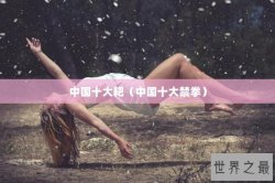 中国十大耙（中国十大禁拳）