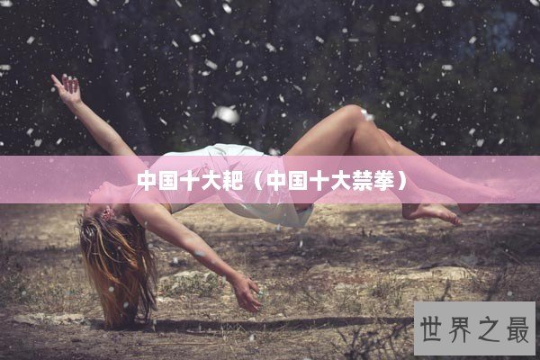 中国十大耙（中国十大禁拳）