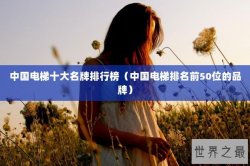 中国电梯十大名牌排行榜（中国电梯排名前50位的品牌）