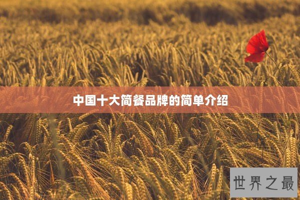 中国十大简餐品牌的简单介绍