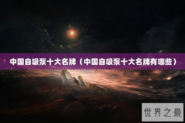 中国自吸泵十大名牌（中国自吸泵十大名牌有哪些）