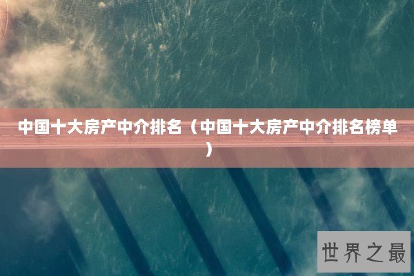 中国十大房产中介排名（中国十大房产中介排名榜单）