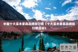 中国十大实木家具品牌排行榜（十大实木家具品牌排行榜深圳）