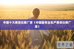 中国十大美容仪器厂家（中国最专业生产美容仪器厂家）