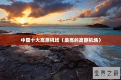 中国十大高原机场（最高的高原机场）