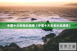 中国十大羊毛衫品牌（中国十大羊毛衫品牌男）