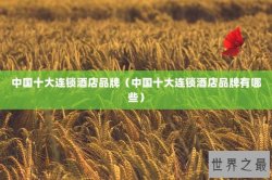 中国十大连锁酒店品牌（中国十大连锁酒店品牌有哪些）