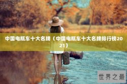 中国电瓶车十大名牌（中国电瓶车十大名牌排行榜2021）
