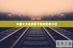 中国十大名牌腻子粉的简单介绍